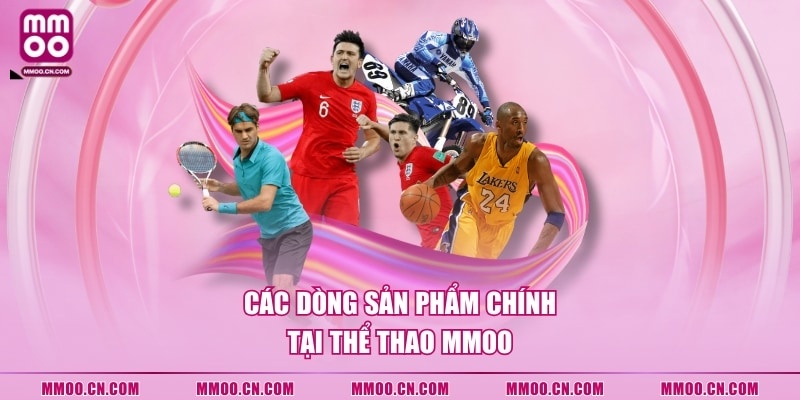 Các dòng sản phẩm chính tại Thể Thao MMOO